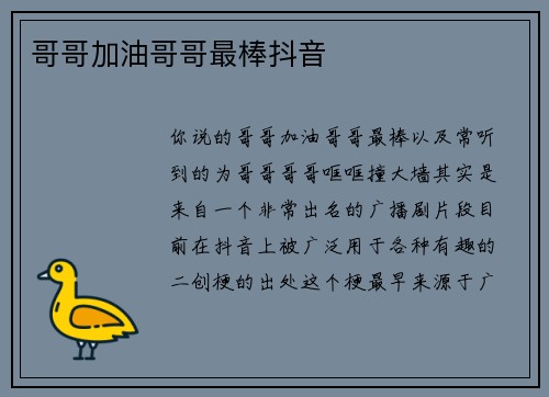 哥哥加油哥哥最棒抖音