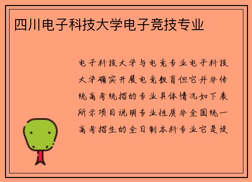 四川电子科技大学电子竞技专业
